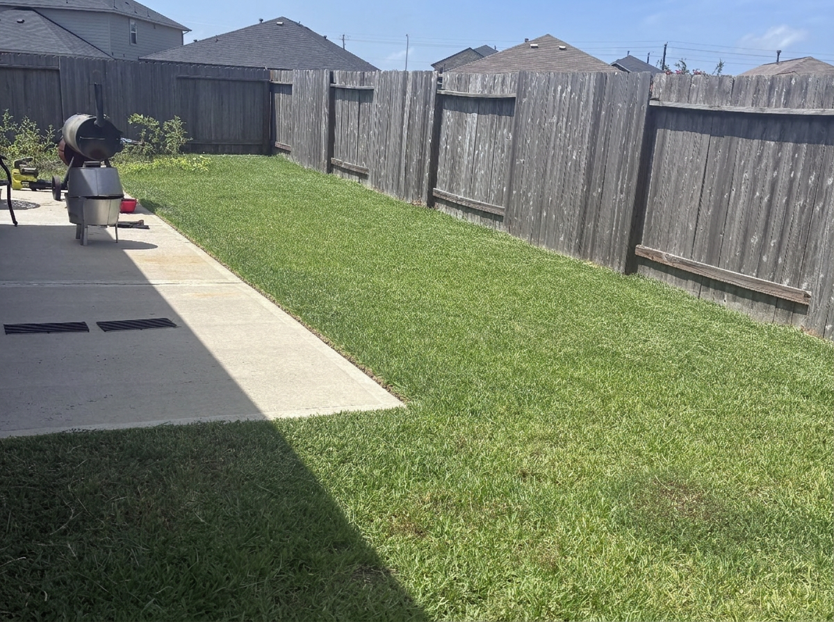 Freshly mowed and edged front lawn